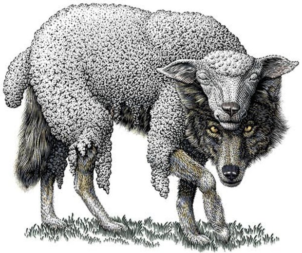 Játékostárs kerestetik Wolf-sheeps-clothing